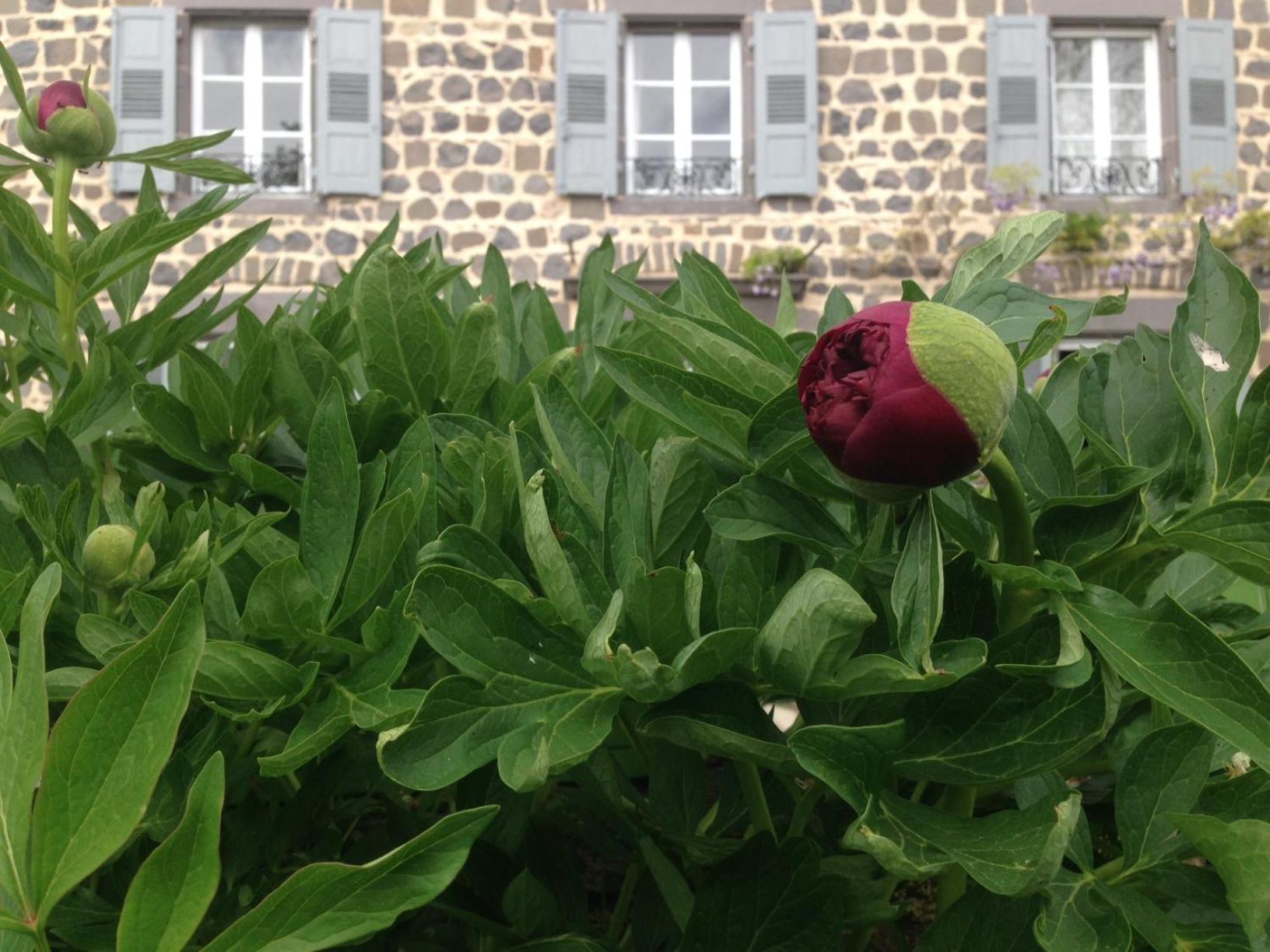 Les Jardins D'Anna - Chambres D'Hotes Tapon Exterior photo